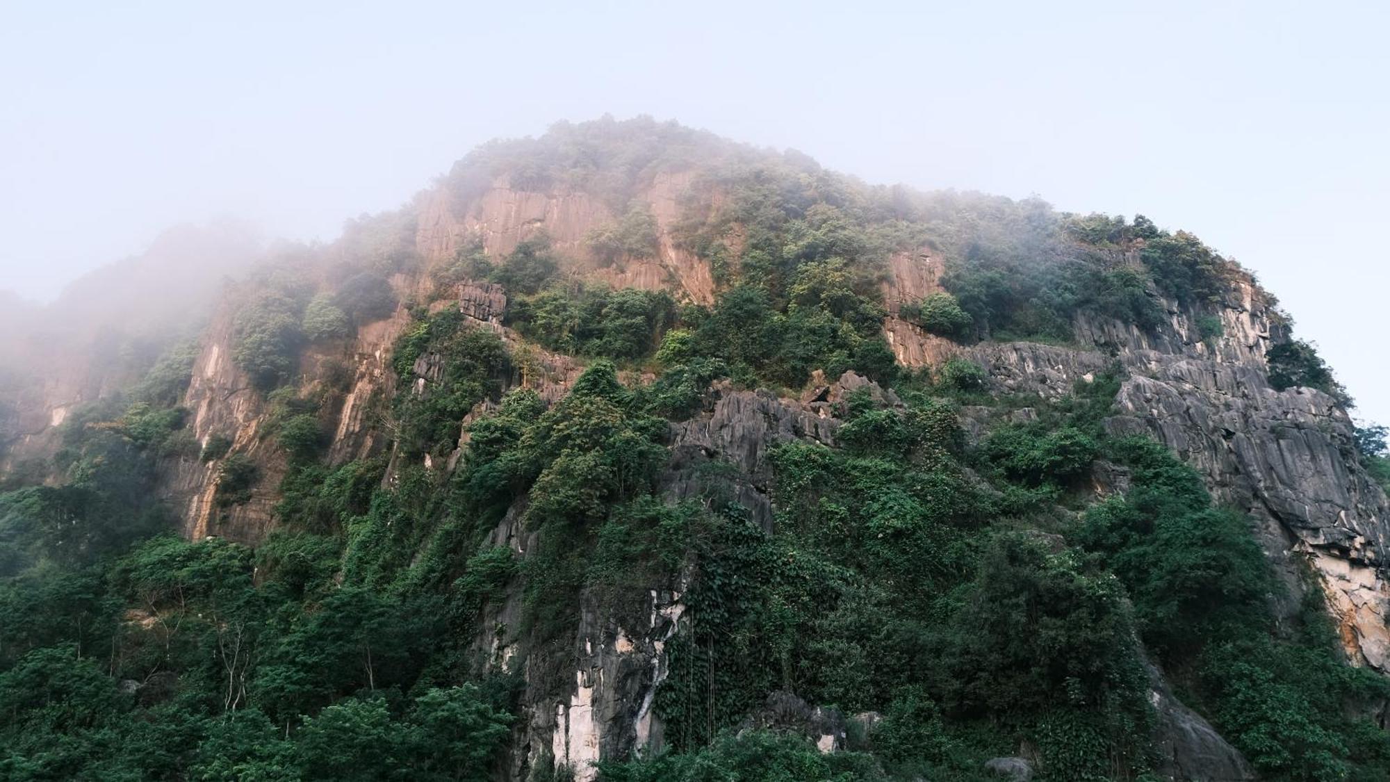Central Backpackers Hostel - Phong Nha Kültér fotó